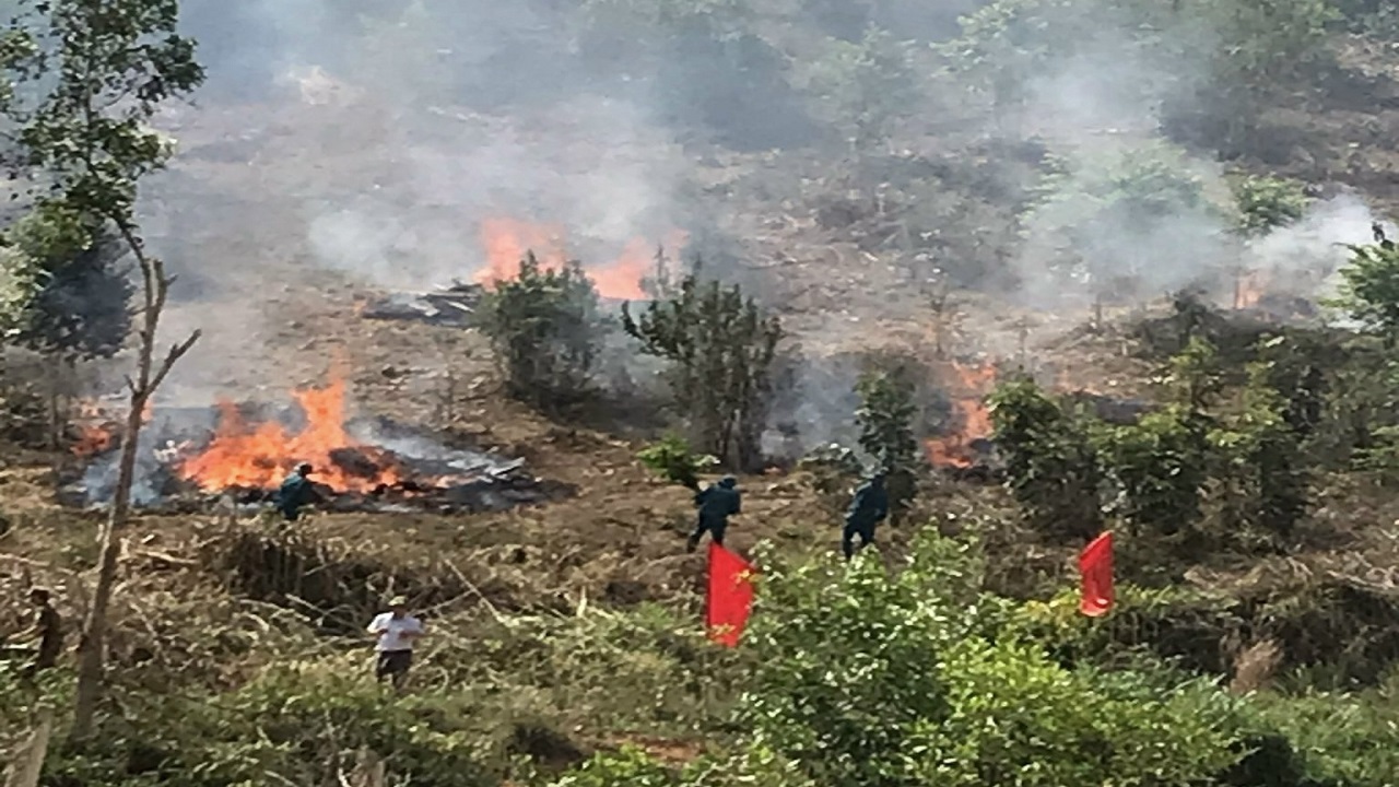 Diễn tập phòng cháy chữa cháy rừng tại huyện Ea Kar
