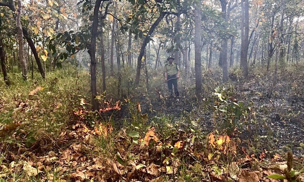 Đắk Lắk cấp bách triển khai các giải pháp phòng cháy chữa cháy rừng